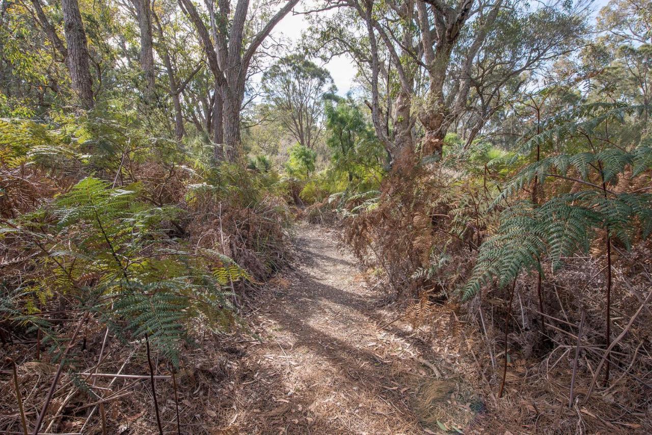Yelverton Brook Conservation Sanctuary Metricup Bagian luar foto