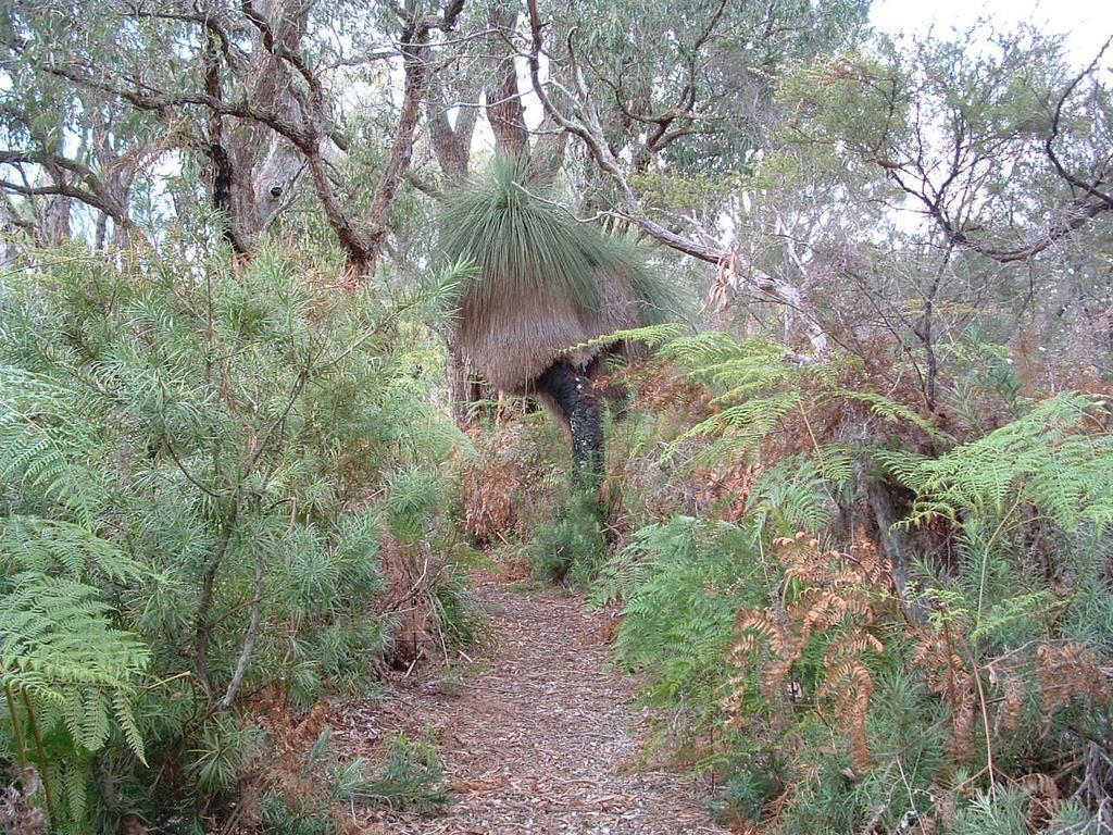 Yelverton Brook Conservation Sanctuary Metricup Bagian luar foto